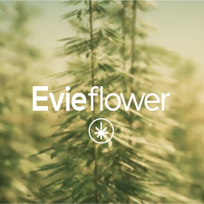 Evieflower
