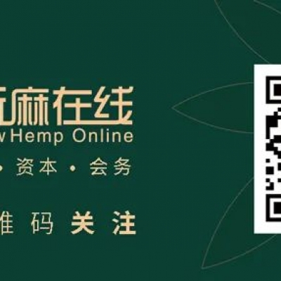 Shanghai New Hemp Media 