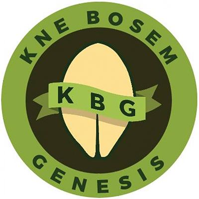 Kne Bosem Genesis d.o.o.