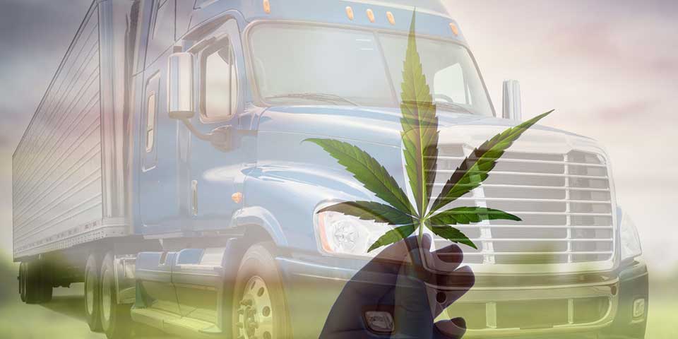 Canna transportation and trucking industry: Interview with Alex Banks - Hemp Trade Market