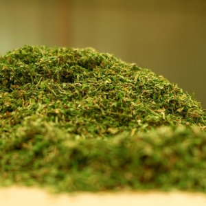 HEMP BIOMASS - CBD & Hemp Products | Hemp Trade Market