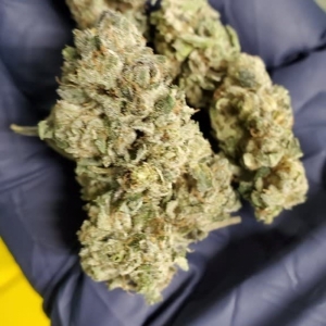 Sour Hawaiian Haze D8 Thc Flower - CBD & Hemp Products | Hemp Trade Market