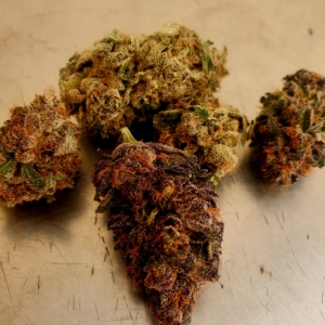 Grape Scout THCA Flower  28.44 THCA   D9  .2 - CBD & Hemp Products | Hemp Trade Market